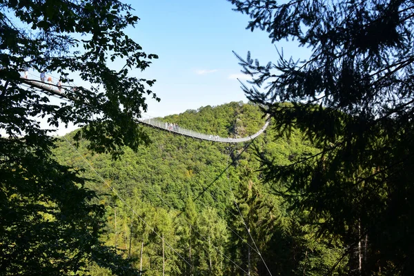 Geierlay Puente Colgante Alemania Occidental — Foto de Stock