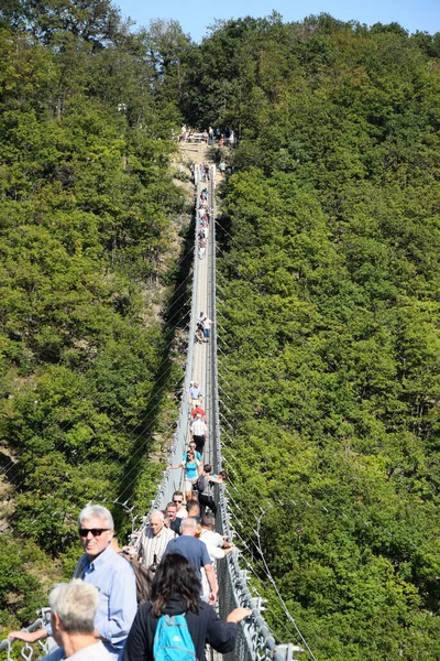 Geierlay Suspension Bridge Western Germany — Stock Photo, Image