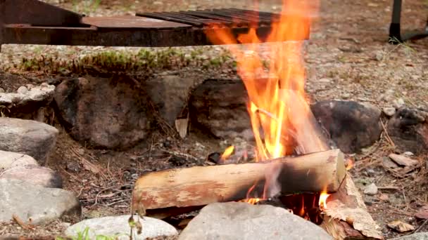 Κλείσιμο φωτιάς που καίει σε τσιμεντένιο λάκκο — Αρχείο Βίντεο