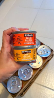 Ottawa On, Kanada - 07 Eylül 2025: Kirkland ıslak kedi maması kutularını canlı etiketlerle, kediler için kaliteyi ve besinleri vurguluyor