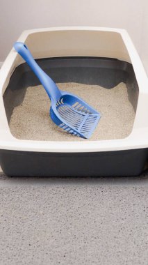 Temiz kedi kumluğu, taze çöp ve mavi kepçe sorumlu hayvan sahipliğini sembolize eder. Temiz ve kokusuz bir ev ortamının korunması için gereklidir..