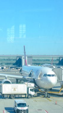 Montreal QC, Kanada - 26 Eylül 2024: Elliott Trudeau Uluslararası Havalimanı 'ndaki kargo kamyonu bagajlarını boşaltan, seyahat ve havacılık atmosferini ön plana çıkaran uçak