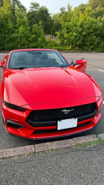 Ottawa On, Kanada - 06 Ağustos 2025: Ford Mustang üstü açık arabası yemyeşil ve doğal güzelliği olan manzaralı bir yolda park halinde.