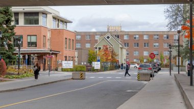 Ottawa ON, Kanada - 25 Ekim 2025: Uttawa Üniversitesi 'nde öğrenciler caddelerde, modern mimaride ve renkli sonbahar ağaçlarında canlı bir kampüs ortamı yaratıyor.