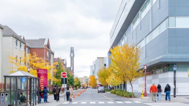 Ottawa ON, Kanada - 25 Ekim 2025: Uttawa Üniversitesi 'nde öğrencilerin yürüdüğü sonbahar sahnesi, caddeyi çevreleyen renkli ağaçlar ve canlı bir kampüs ortamı yaratan modern binalar