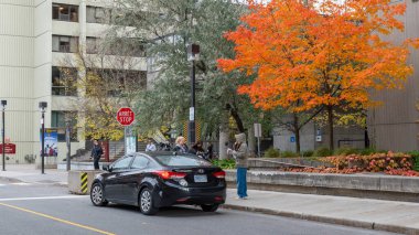 Ottawa ON, Kanada - 25 Ekim 2025: Uttawa Üniversitesi 'nde renkli sonbahar yeşilliğinin yanına park edilmiş siyah araba, öğrenciler yakınlarda etkileşime geçiyor, kampüs hayatının ve mevsimsel cazibenin özünü yakalıyorlar.