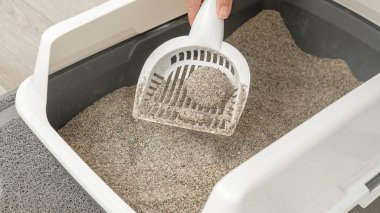 Beyaz bir kepçeyle el, gri bir çöp kutusundan kedi kumu kaldırıyor, kabın içindeki temiz çöpü ve alttaki desenli paspası gösteriyor.
