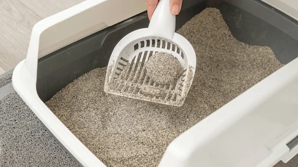 Beyaz bir kepçeyle el, gri bir çöp kutusundan kedi kumu kaldırıyor, kabın içindeki temiz çöpü ve alttaki desenli paspası gösteriyor.