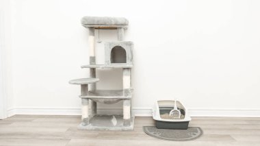 Birden fazla katlı kedi ağacı ve kazıma kazıkları iyi ışıklandırılmış kapalı bir alanda ahşap bir zemindeki çöp kutusunun yanına yerleştirilmiş.