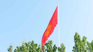 Vibrant Kyrgyzstan flag of a Central Asian country flutters in the wind against a bright blue sky, with green trees framing the scene, representing cultural heritage