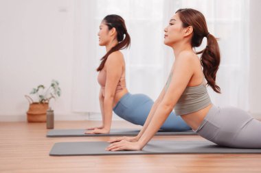 Asyalı kadınların evdeki yoga minderlerinde hareketlilik akışı yaparak egzersiz yaparak, sağlıklı yaşam için esneklik eğitimi, çekirdek kuvveti ve sağlık yaşam tarzını göstererek.