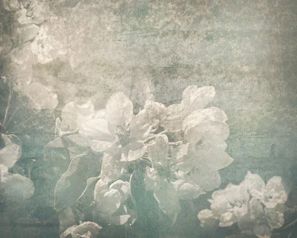 Romantiska texturerat kort med blommor av apple. — Stock fotografie