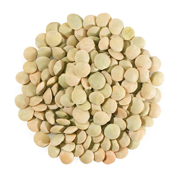 Dry green lentils close up. — Stock Photo, Image