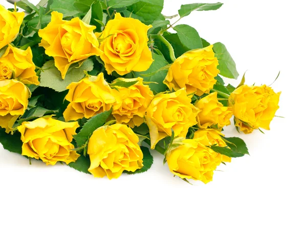 Bouquet of yellow roses isolated on white. — Stock Photo, Image