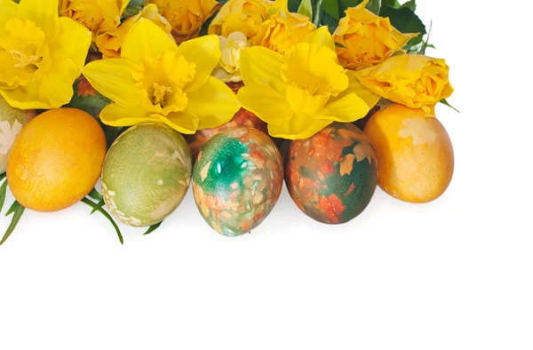 Painted Easter eggs and daffodils on white background. — Stock Photo, Image