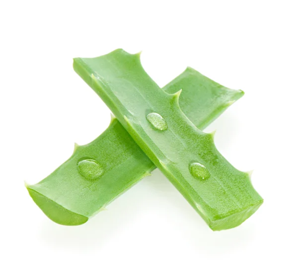 Aloe blad närbild, isolerade på vit. — Stockfoto