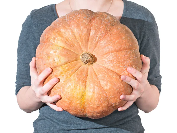 Woman holds in hands of large ripe orange pumpkin — Stock Photo, Image