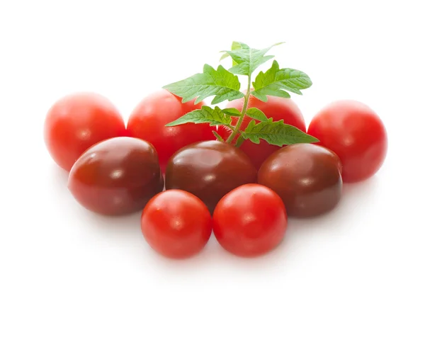 Grupp av röda och bruna körsbärstomater på vit bakgrund — Stockfoto
