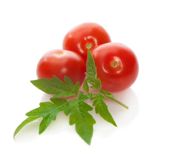 Three of red cherry tomatoes with a leaf on a white background — Stockfoto