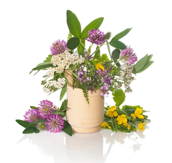 Herbs: clover, yarrow, thyme, celandine in a wooden mortar on th — Stock Fotó