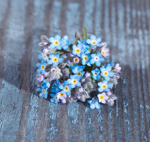 Forget-Me Flowers on wooden background close-up. — Stock Photo, Image