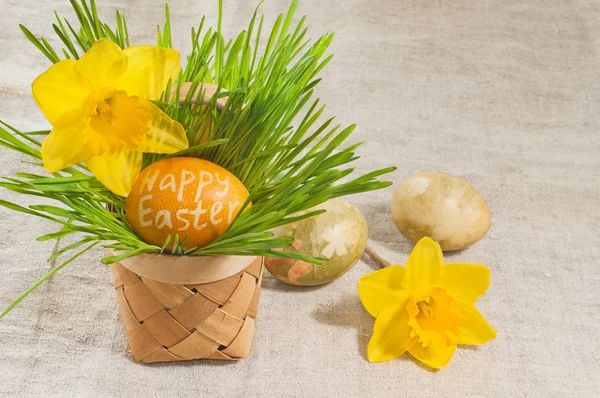 Basket filled with easter eggs on meadow with daffodil on a line — Stock Photo, Image