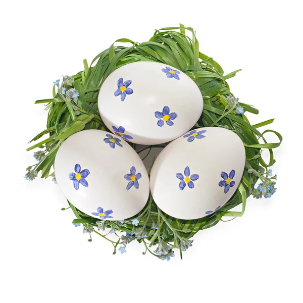 Painted Easter eggs and spring flowers  forget-me on a white bac — Stock Photo, Image