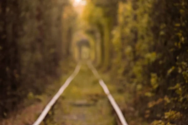 Herfsttunnel Van Liefde Tunnel Gevormd Door Bomen Struiken Langs Een — Stockfoto