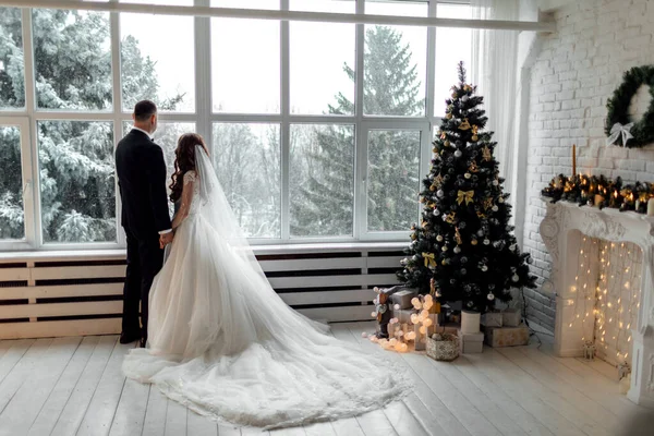 Young Couple Love Bride Groom Posing Studio Background Decorated Christmas — Stock Photo, Image