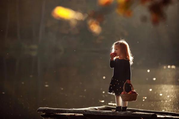 秋天的小女孩 提着一篮子苹果 收获苹果 — 图库照片