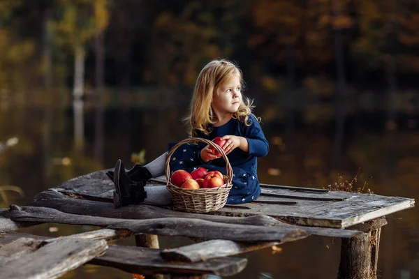 Menina Outono Com Uma Cesta Maçãs Maçãs Colheita — Fotografia de Stock