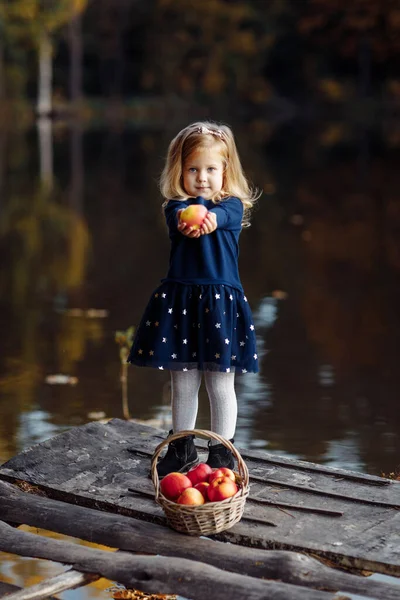 Menina Outono Com Uma Cesta Maçãs Maçãs Colheita — Fotografia de Stock