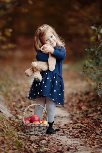 Beautiful Young Girl Park Apples Beautiful Girl Harvests Apples Child — Stock Photo, Image