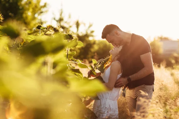 Güzel Bir Çift Gün Batımında Ayçiçeği Tarlasında Öpüşüyor Aşık Bir — Stok fotoğraf