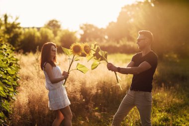 Ayçiçeği tarlasında eğlenen güzel bir çift. Aşık bir adam ve bir kadın bir tarlada ayçiçekleriyle yürür, bir erkek bir kadına sarılır. seçici odak.