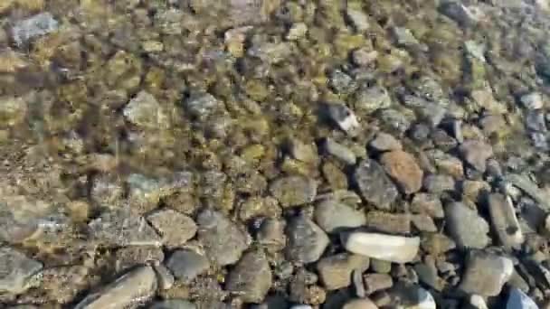野生山河靠近清澈的溪流 静止不动 石柱滚滚流淌 水花飞溅中的岩石 乌克兰 喀尔巴阡山 — 图库视频影像