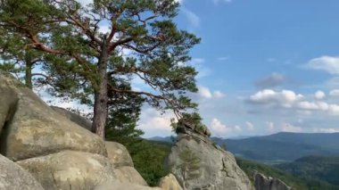 Güneşli bir günde Bubnyshche 'deki Dovbush Kayaları - Ukrayna' daki güzel Karpat ormanları ve dağları arasında fantastik kayalar.