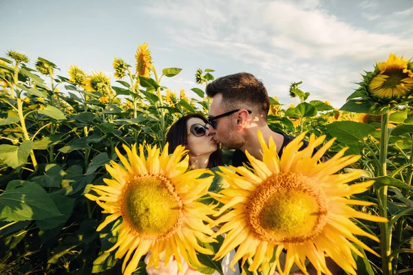 Güzel Bir Çift Gün Batımında Ayçiçeği Tarlasında Öpüşüyor Aşık Bir — Stok fotoğraf