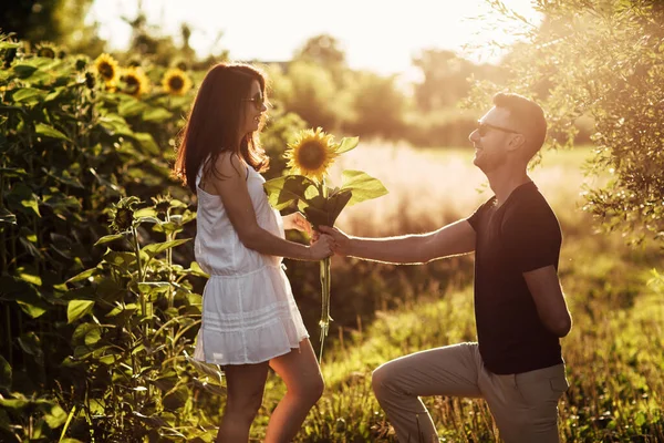Ayçiçeği Tarlasında Eğlenen Güzel Bir Çift Aşık Bir Adam Bir — Stok fotoğraf