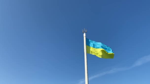 Державний Прапор України Розмахує Вітром Проти Блакитного Неба Великий Жовтий — стокове відео