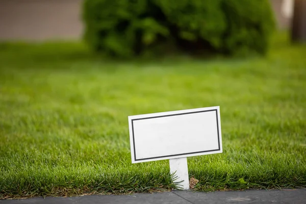 Empty Blank Sign Space Text Photo Stock Photo