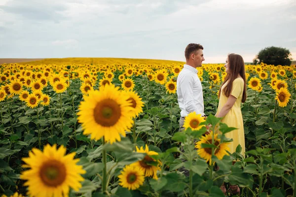 Beautiful couple having fun in sunflowers field. A man and a woman in love walk in a field with sunflowers, a man hugs a woman. selective focus.