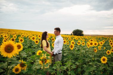 Ayçiçeği tarlasında eğlenen güzel bir çift. Aşık bir adam ve bir kadın bir tarlada ayçiçekleriyle yürür, bir erkek bir kadına sarılır. seçici odak.