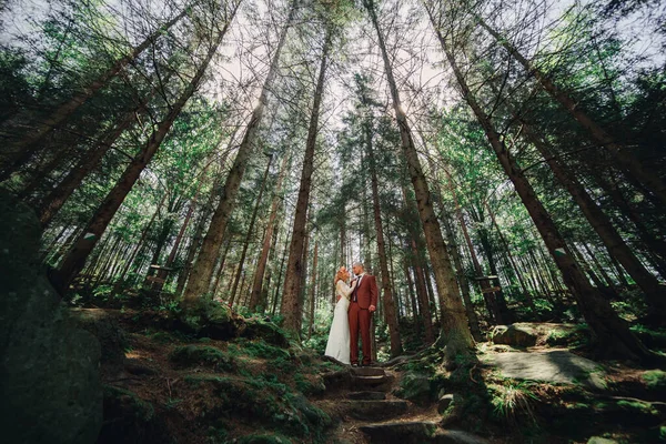 Genç Düğün Hippileri Gelin Damat Bir Yaz Günü Yeşil Ormanda — Stok fotoğraf