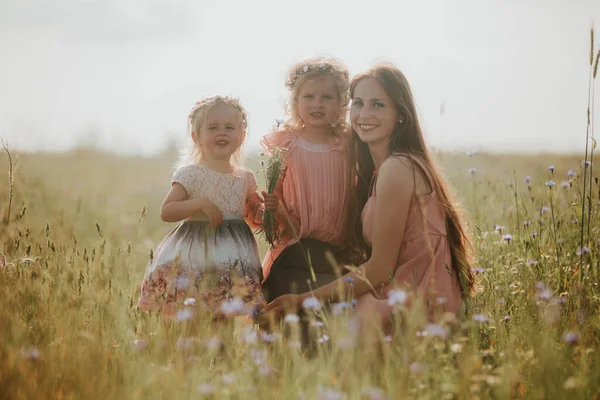 Mère Enfants Deux Petites Filles Amusent Dans Une Prairie Été — Photo