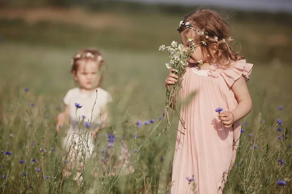 Ritratto Due Sorelle Con Mazzi Fiori Campo Una Giornata Calda — Foto Stock