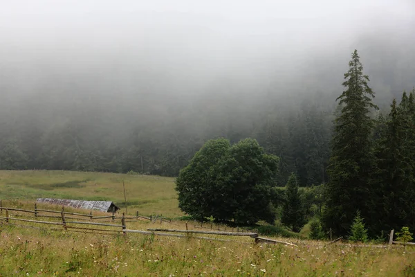 Syksyn Niitty Vanha Puinen Aita Maatilalla Lähellä Smoky Mountains Sumuisena — kuvapankkivalokuva