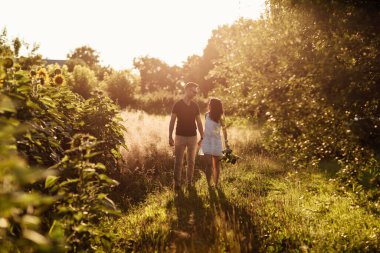 Ayçiçeği tarlasında eğlenen güzel bir çift. Aşık bir adam ve bir kadın bir tarlada ayçiçekleriyle yürür, bir erkek bir kadına sarılır. seçici odak.