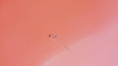 Ukrayna, Odessa 'daki Kuyalnik Gölü' nün havadan çekilmiş resmi. Göl doğal olarak tuzlar ve sudaki küçük kabuklu deniz ürünleri yüzünden pembeleşir. Bu mucize çok nadir gerçekleşir..