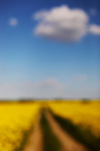 Verschwommener Hintergrund Von Gelbem Raps Auf Einem Hintergrund Des Himmels — Stockfoto
